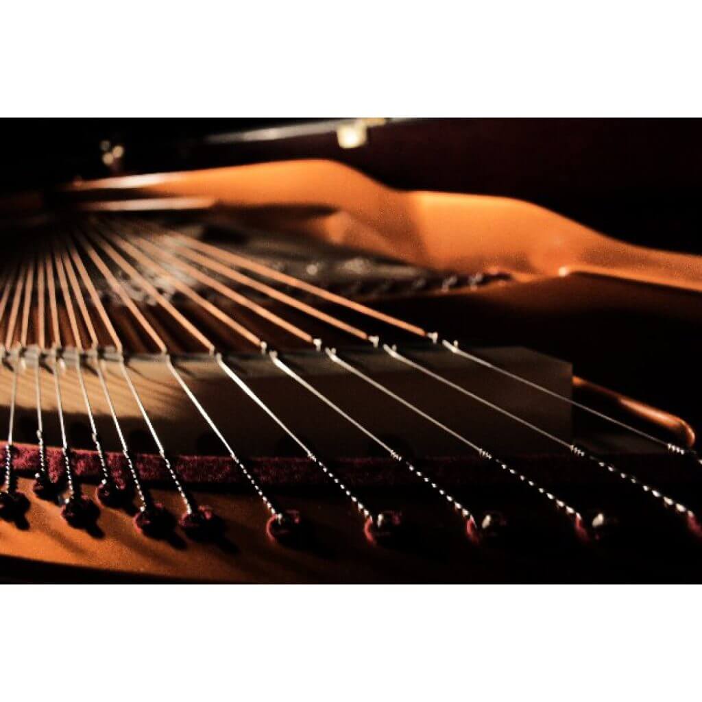 bosendorfer 280 1